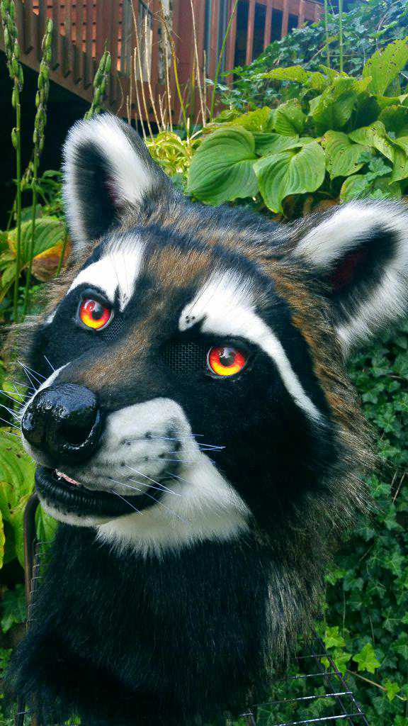 Фурсьют кимоно лиса. Фурсьют енот. Фурсьют енота. Фурсьют кимоно. Фурсьют енот реалистик.