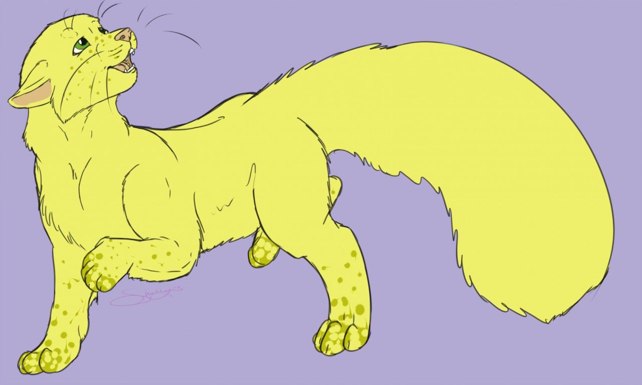 FN - Artwork - Do the floofdance!