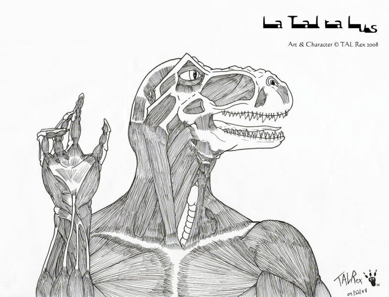 Tal Rencus FN - Tal Rex