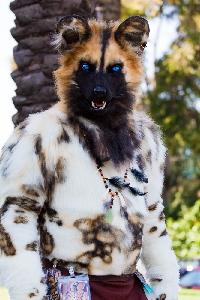 фурсьют ротвейлер. реалистичные костюмы. реалистичные костюмы. фурсьют реалистик. фурсьют черного кота.